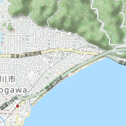 鴨川温泉のペットと泊まれる宿 トラベルドッグ Jp 鴨川温泉のペットと泊まれる宿 トラベルドッグ Jp