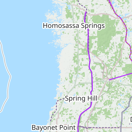 Pasco County Florida Topograhic Maps By Topozone