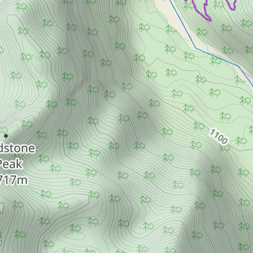 Redstone Peak Topo Map Wa Pierce County Sunrise Area Topo Zone