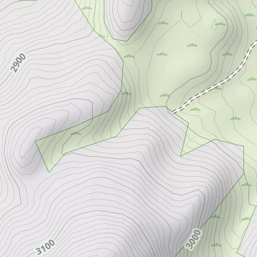 saddle topography