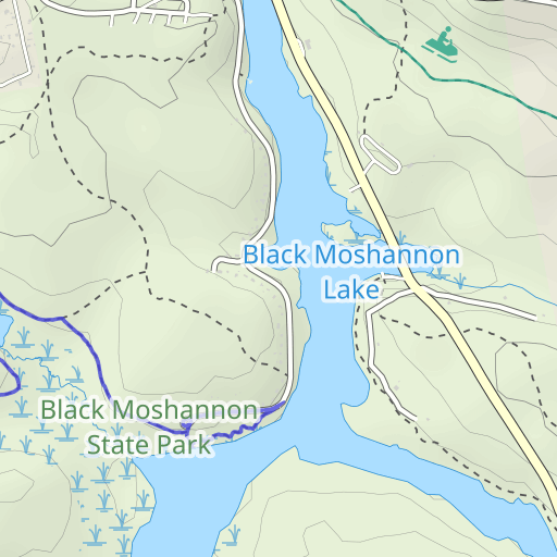 Black Moshannon State Park Map Black Moshannon State Park Topo Map Pa, Centre County (Black Moshannon  Area) Topo Zone