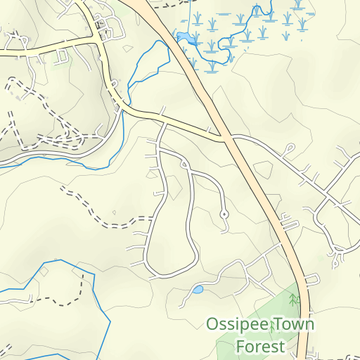 Carroll County Nh Gis Center Ossipee Topo Map Nh, Carroll County (Ossipee Lake Area) Topo Zone